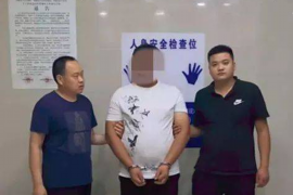 武安债务清欠服务